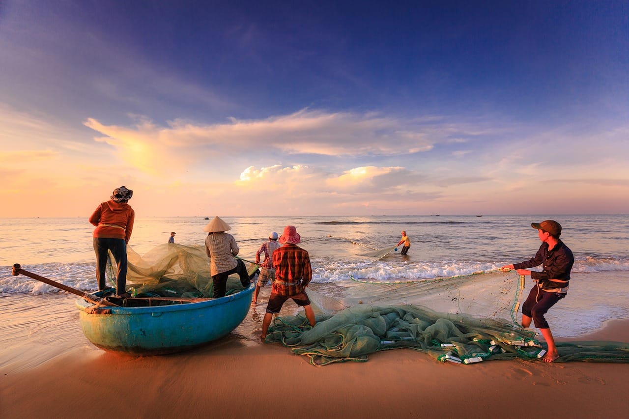 catching fish